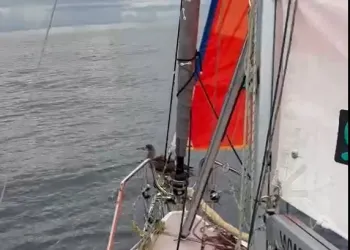 Galapagos'taki Misafir