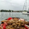 ''Türkiye’den Uzakta Yelkenlide Yaşayan Türkler '' 6. Bölüm