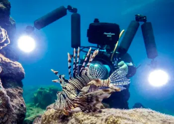 Tales from the Deep / In Pursuit of the Seas