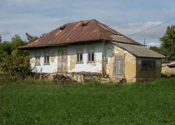 Sıvasız Evlerin Çocukları