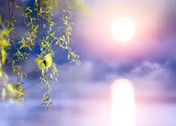 Yeni Bir Gün Başlıyor