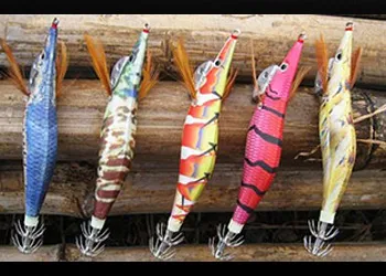 Kalamar ve Av teknikleri