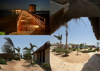 Thuwal Adası, Piyasa & Sanat Goya!