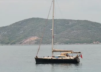 SAL'dan Mektup Var (1)