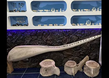 Serin Bir Yaz Geçirmek İsteyenlere Azor Adaları ya da Madeira