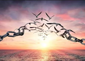 Toplum ve Birey İlişkisinde Demokrasi ve Özgürlük Kavramı