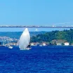 24'üncü Bosphorus Cup’ta Kupanın Sahibi ''ROSSKO RACER JPK 1180''