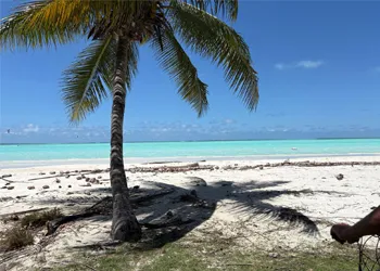 Coco's Keeling Adası'ndan Ayrılma Zamanı Geldi