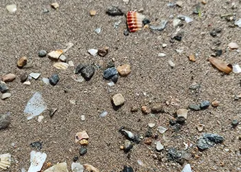 İyi ki Tatiller Var!