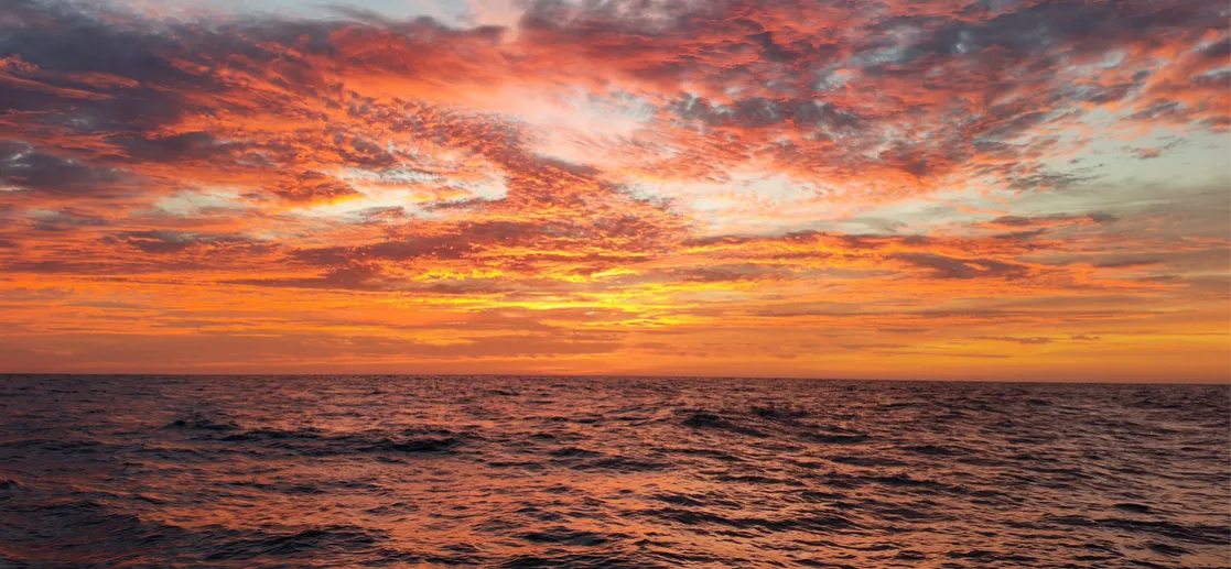 SAL'dan Mektup Var (3)