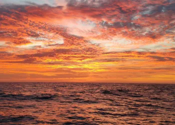 SAL'dan Mektup Var (3)