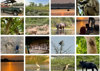 18 Ay Hamilelik, Gergedanlar Ve Boynuz Ticareti (Nepal 3)