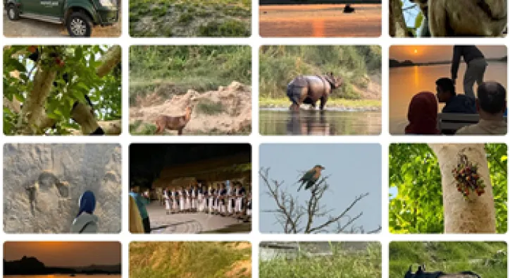 18 Ay Hamilelik, Gergedanlar Ve Boynuz Ticareti (Nepal 3)