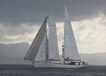 Nesiller Boyu Aynı Rüzgâr