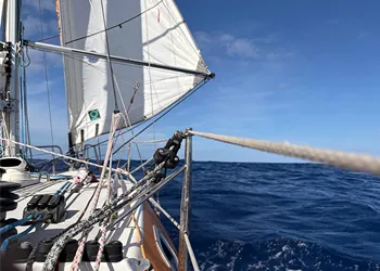 Durban'a 120 mil Kaldı