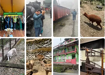 Darjeeling’in Türkçesi Rize mi?