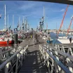 Bir İnsan, Bir Tekne, 30 bin Deniz Mili: Golden Globe Race Başlıyor